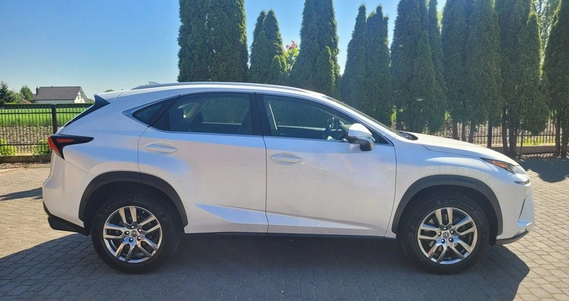 Lexus NX cena 138900 przebieg: 49474, rok produkcji 2019 z Kraśnik małe 781